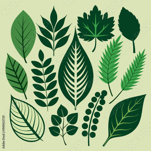 Green Leaf Silhouette Collection, Botanical Nature Vector Set