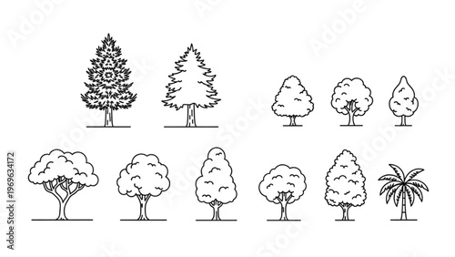 Various trees in vector CAD design style for landscaping