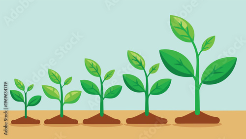 Growth stages of plants from small seedlings to larger plants in a simple setting
