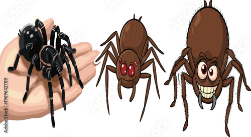 Spider vector collection featuring a realistic tarantula on human hand and cute cartoon arachnid characters for halloween educational biology and exotic pet shop concepts.