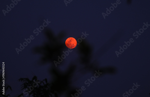 Obraz na płótnie The 2026 Pink Moon, April's full moon, the first full moon of spring, is appearing as a micro moon because it coincides with the moon's farthest point from Earth (apogee), making it look smaller