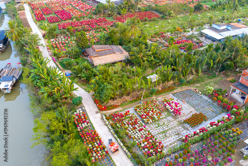 Aerial view of Phu Son village of bougainvillea blooms throughout Ben Tre, Vietnam