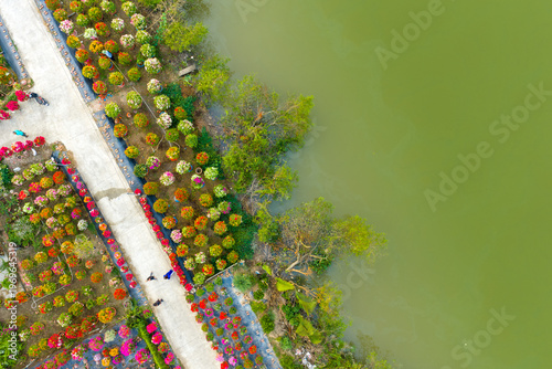 Aerial view of Phu Son village of bougainvillea blooms throughout Ben Tre, Vietnam