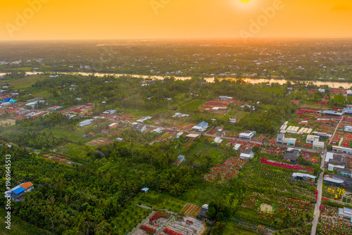 Aerial view of Phu Son village of bougainvillea blooms throughout Ben Tre, Vietnam