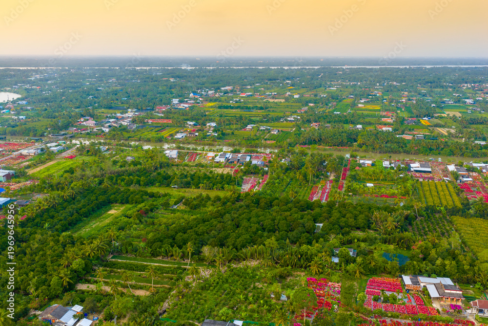 Fototapeta premium Aerial view of Phu Son village of bougainvillea blooms throughout Ben Tre, Vietnam