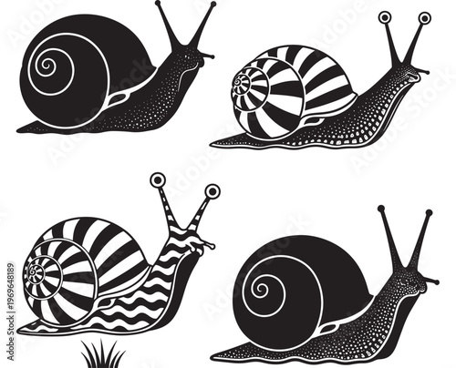 Rug floral Persian with intricate patterns and vibrant colors, meticulously handcrafted for home decor and luxurious interior design accents.