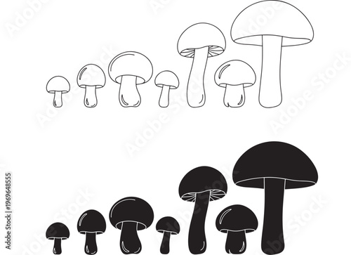 Mushrooms set with outlines and filled silhouettes in increasing size on a white background, perfect for design.
