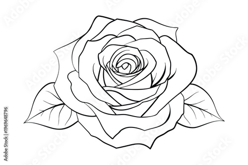 rose outline coloring book page line art vector illustration