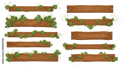 Set of rustic wooden signboards and planks are beautifully decorated with crawling green vine leaves for use in organic graphic design.