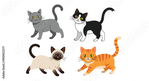 Set of four different cat breeds in cartoon style featuring a gray shorthair, tuxedo cat, siamese, and orange tabby.