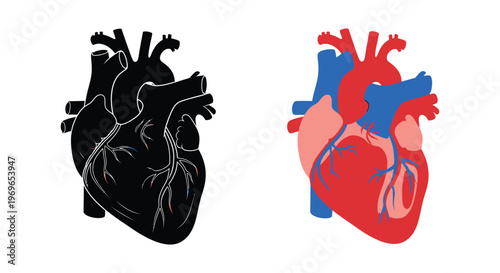 Lone tree stands against a vibrant sunset creating a striking silhouette