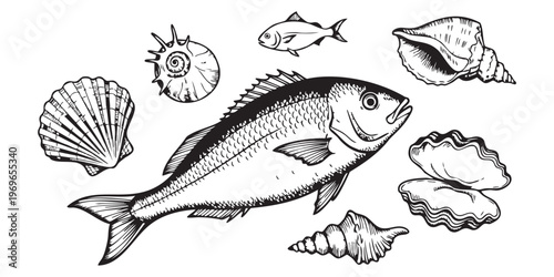 A detailed illustration of fish and seashells rendered in a striking black and white silhouette