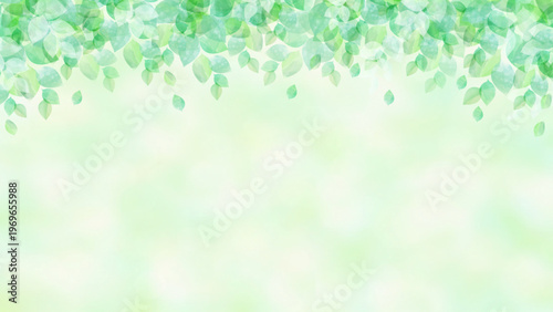 透明感のある水彩風　新緑のフレームイメージ
