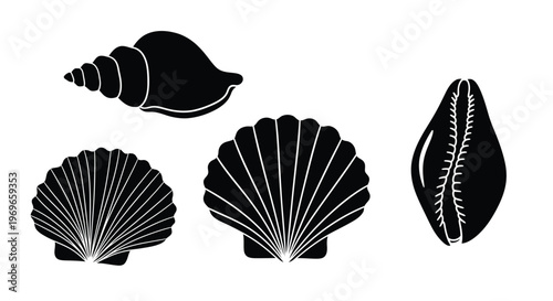 Cuadro en lienzo Black and white illustration featuring a collection of various seashell silhouet