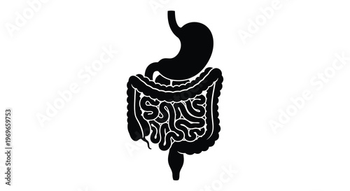 Detailed human digestive system illustration in stark black silhouette high quality