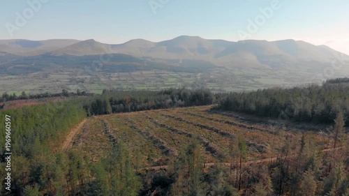 Aerial drone gliding over vast cleared forest land, revealing rolling hills and distant Galty Mountains, highlighting environmental change and sustainable land management practices.