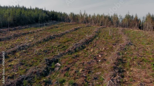 Aerial view reveals devastating environmental impact of clear-cutting in Galty Mountains, highlighting need for sustainable forestry practices and conservation efforts.