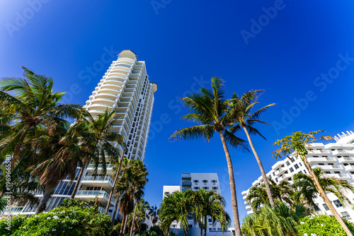 Modern high-rise residential tower in Miami framed by tall palm trees under a deep blue sky - luxury urban living in a tropical coastal city in South Florida