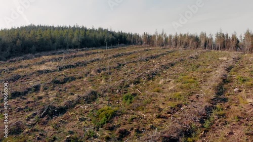 Drone camera explores newly planted saplings in Galty Mountains reforestation area, showcasing sustainable land management and nature's resilience, promoting eco-friendly practices and conservation ef