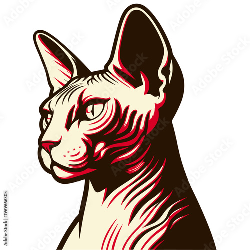 Don sphynx vector and illustration