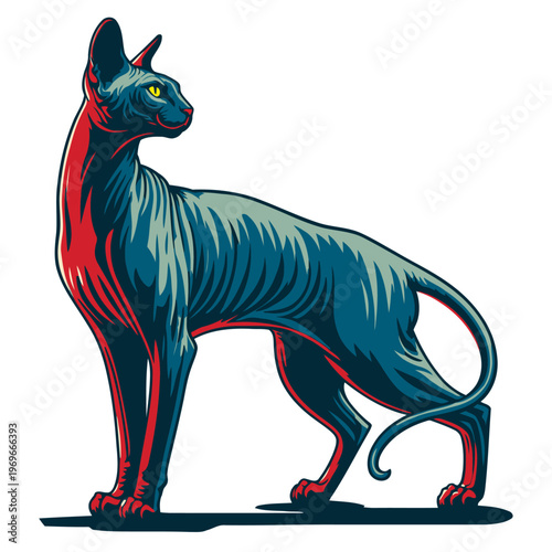 Don sphynx vector and illustration