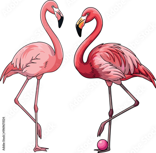 Illustration of Two Flamingos, One Standing on One Leg and the Other with a Ball, Perfect for Wildlife, Tropical, and Nature Themed Designs