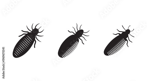 Silhouette illustrations of lice with different body patterns on white background  lice silhouettes for educational or design use