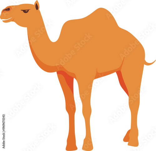 Illustration of a Camel