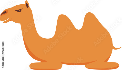 Illustration of a Camel