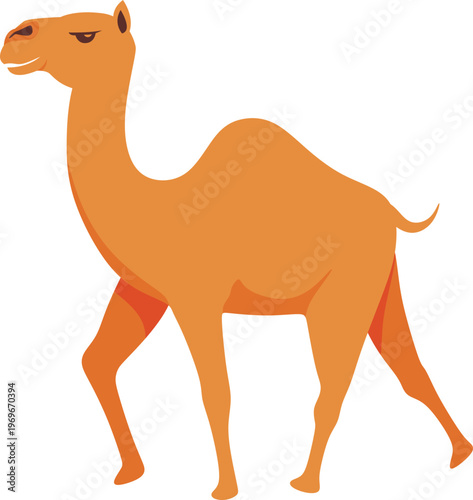 Illustration of a Camel