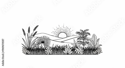 Sun setting over rolling hills with lush tropical foliage and grasses