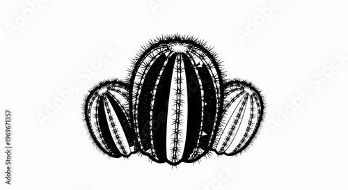 Three detailed black and white cacti cluster together on a white background