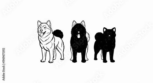 Three dogs of varying sizes, two solid black, one outlined