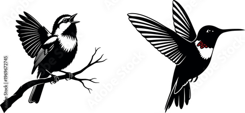 Vintage Style Illustration of Birds, One Perched and One Flying, Ideal for Wildlife, Birdwatching, and Nature Themed Designs