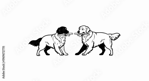 Two dogs of different colors, each holding a stick in their mouths