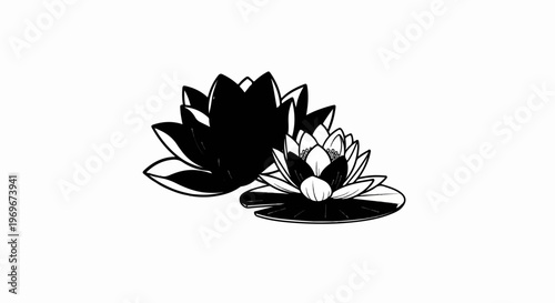 Two water lilies, one large dark, one smaller light, floating