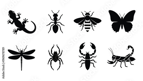 A collection of various insects and small creatures depicted in stark black shapes creating a striking silhouette high quality professional detailed