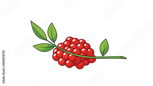 Simple branch of ripe red berries with green leaves is shown against a plain white background in a vibrant stylized illustration.