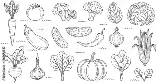 Hand drawn vegetable collection vector illustration featuring fresh farm produce carrot broccoli pumpkin onion and leafy greens set