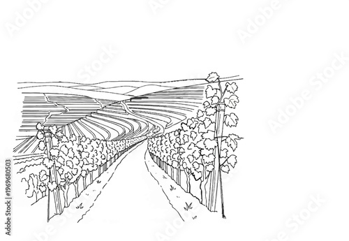 Winding road through cultivated fields with distant rolling hills