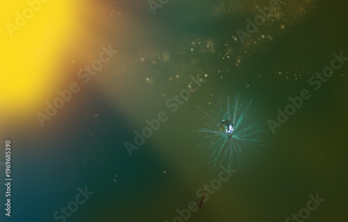Beautiful water drop on dandelion flower seed in sunlight over sun Macroart