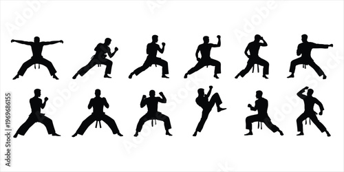 Karate Fighters Silhouettes Demonstrating Martial Arts Poses on White Background combat warrior