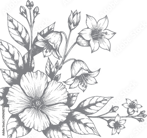 Detailed hand drawn botanical corner arrangement with blooming flowers and leaves in sketch style with line art with black and white