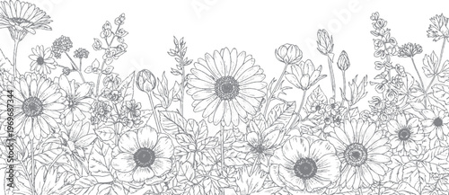 Wildflower meadow hand-drawn border with various blossoms and natural grasses, detailed monochrome sketch, design element, line art