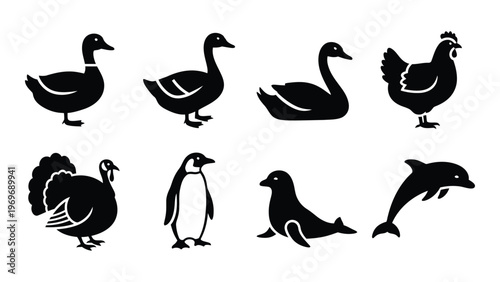 A collection of various waterfowl and marine animal silhouettes including a swan duck penguin and dolphin silhouette high quality professional detailed