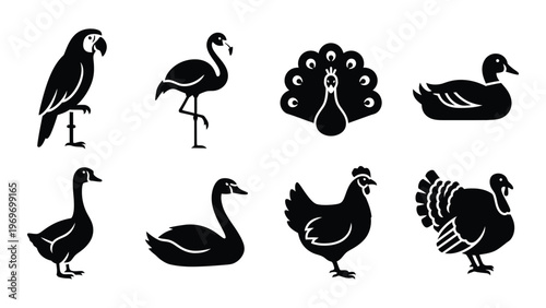 A collection of various bird silhouettes including a parrot flamingo peacock and duck shown in black and white silhouette high quality
