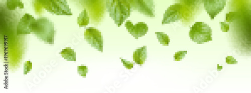 Fresh green mint leaves floating in air with natural motion effect, realistic vector background. Organic herbal border concept, cosmetic product design and sustainable beauty banner illustration.