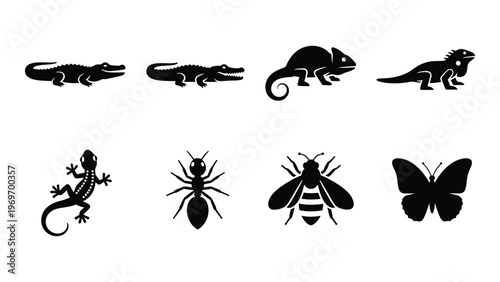 A collection of black silhouettes depicting various reptiles insects and a butterfly creating a stark visual contrast silhouette high quality professional