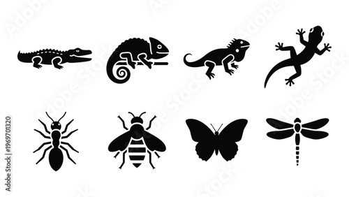 A collection of black reptile and insect silhouettes including a crocodile chameleon lizards and various bugs silhouette high quality professional detailed
