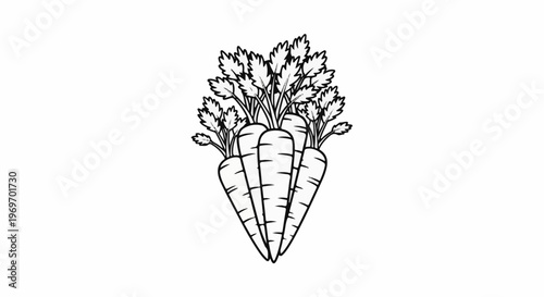 Bunch of carrots with leafy green tops